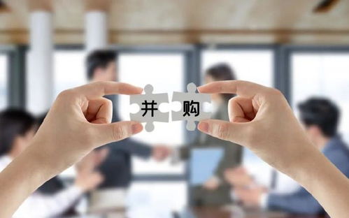 中誠(chéng)咨詢IPO過(guò)會(huì) 募資總額砍掉1.3億，董事長(zhǎng)夫人控股達(dá)86.98%