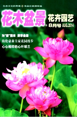 普刊論文發(fā)表指南 以《花木盆景》為例
